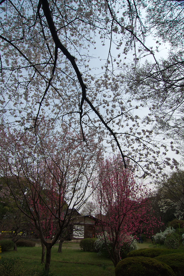 IMGP9993.jpg(649636 byte)