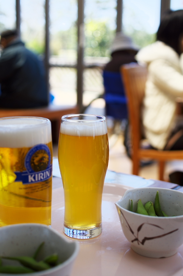 IMGP0982.jpg(186365 byte)