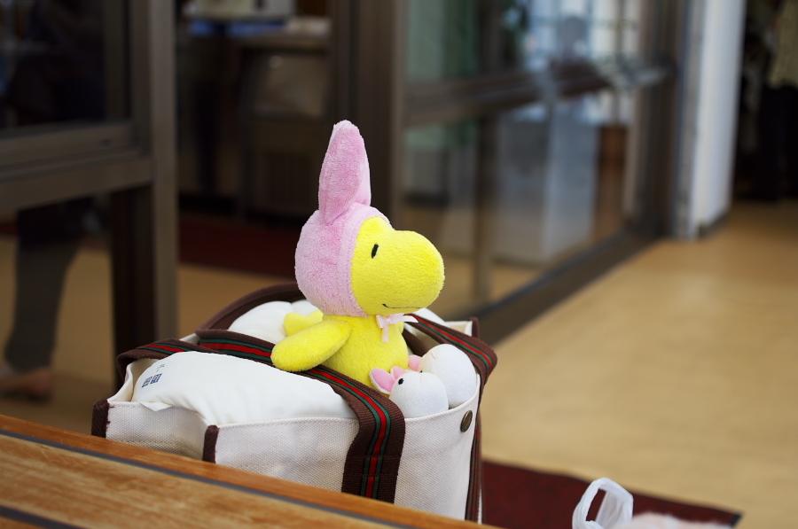 IMGP0989.jpg(179502 byte)