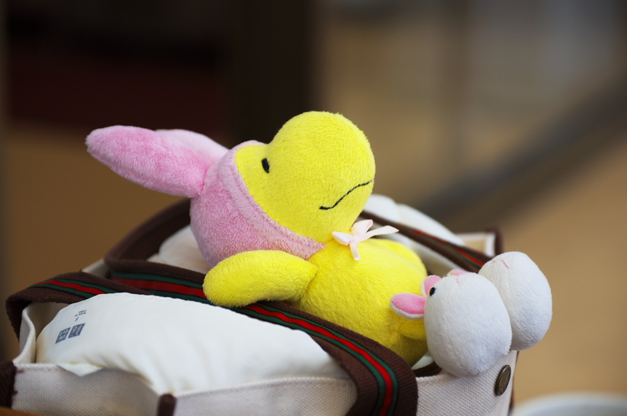 IMGP1006.jpg(193088 byte)