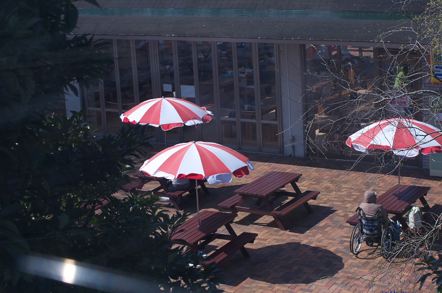 IMGP1013.jpg(353544 byte)