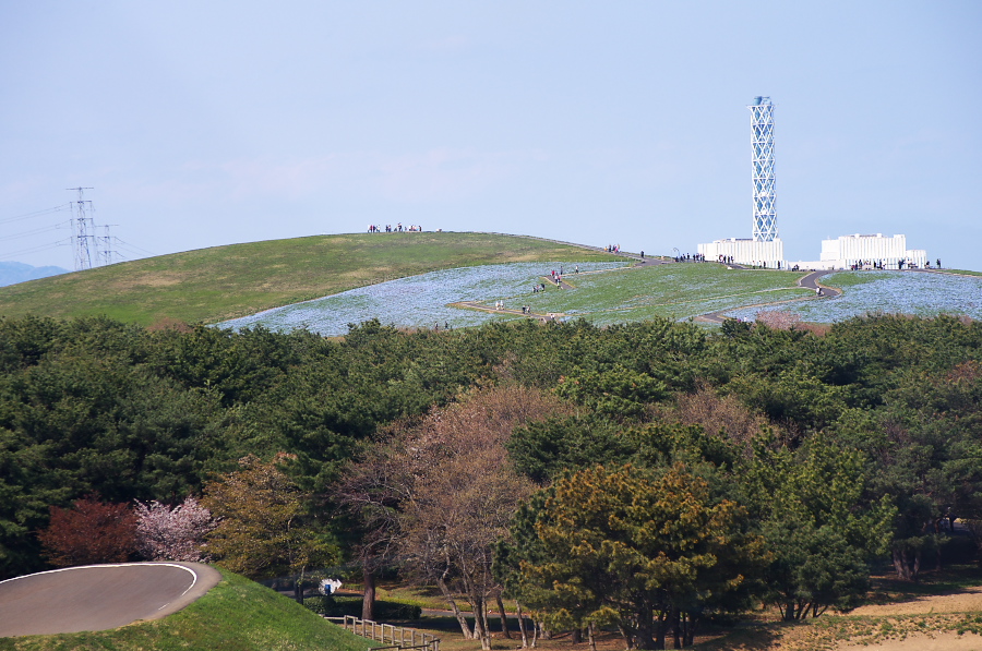 IMGP1016.jpg(368919 byte)