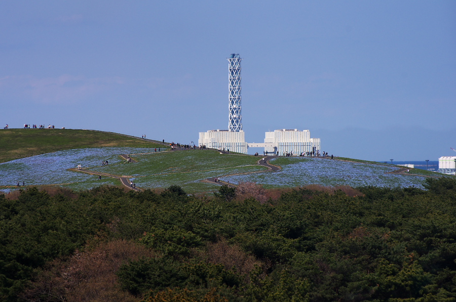 IMGP1018.jpg(308318 byte)