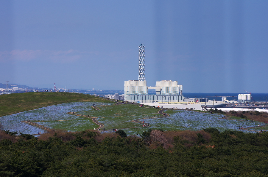 IMGP1031.jpg(300626 byte)