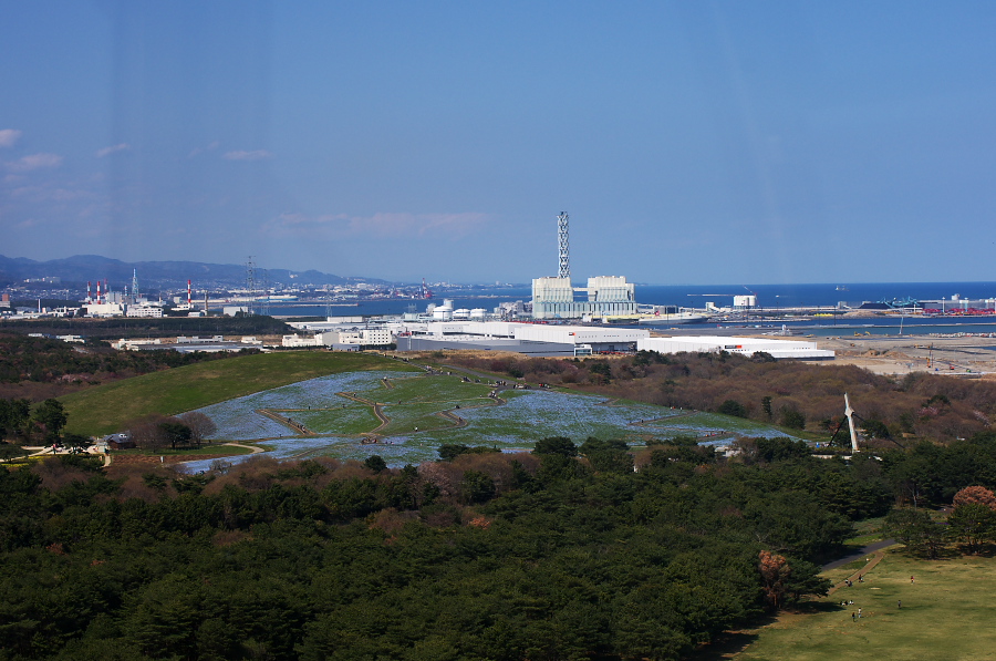 IMGP1058.jpg(318631 byte)