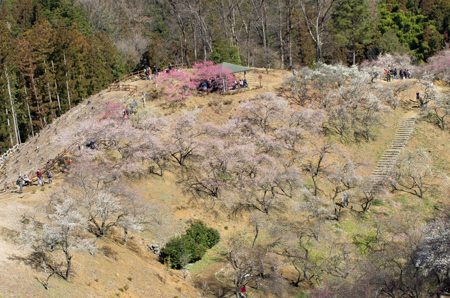 +IMGP3026.jpg(948926 byte)