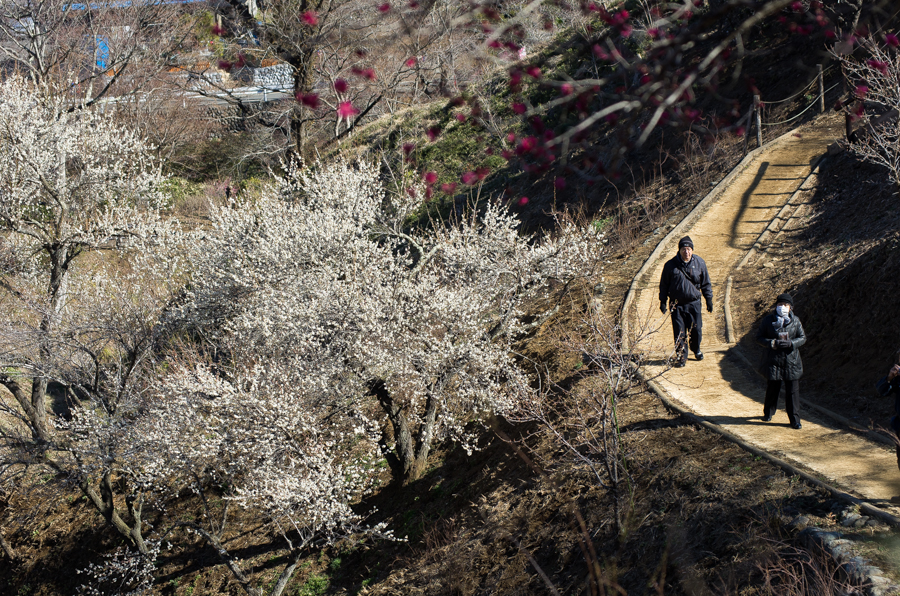 IMGP2957.jpg(851591 byte)