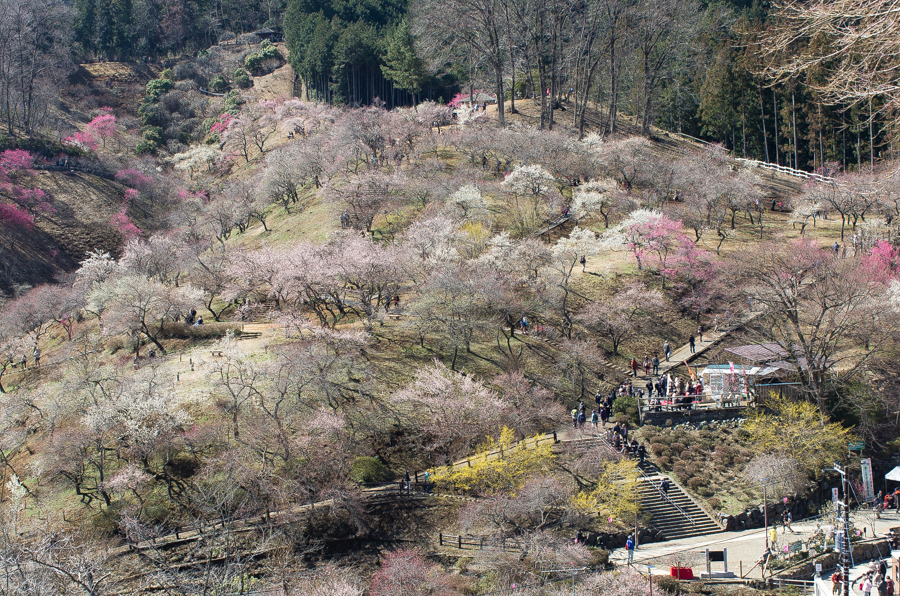 IMGP3104.jpg(914451 byte)