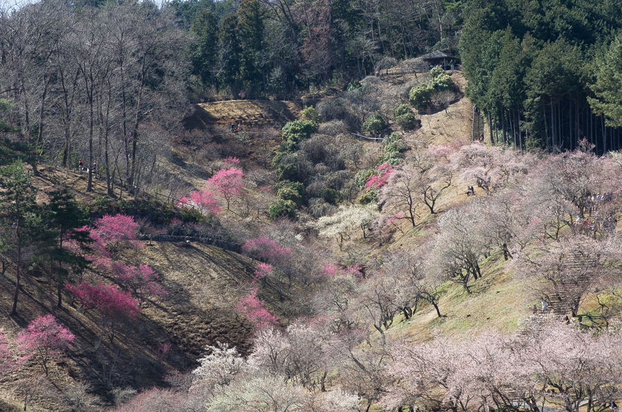 IMGP3113.jpg(787418 byte)