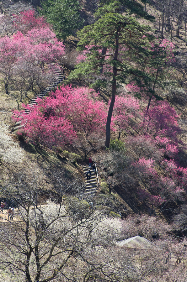 IMGP3114.jpg(912373 byte)