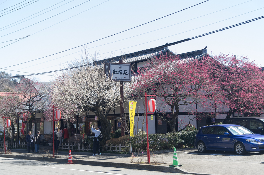 IMGP3133.jpg(611449 byte)