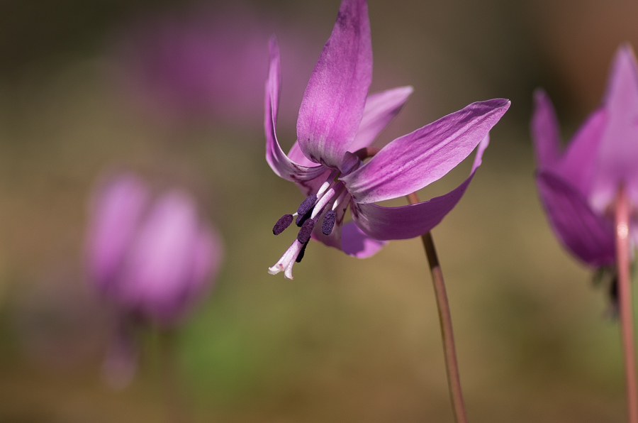 ---IMGP3360.jpg(294092 byte)