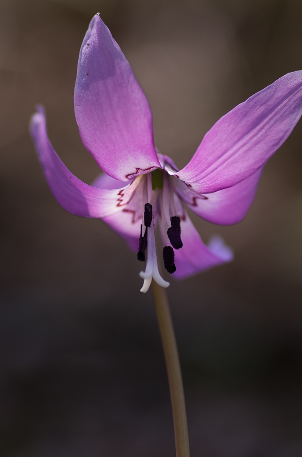 --IMGP3309.jpg(244910 byte)