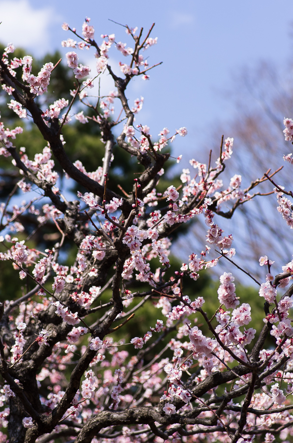 IMGP3270.jpg(639418 byte)