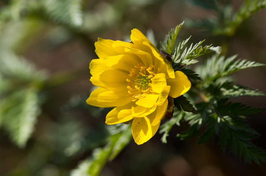 IMGP3275.jpg(335946 byte)