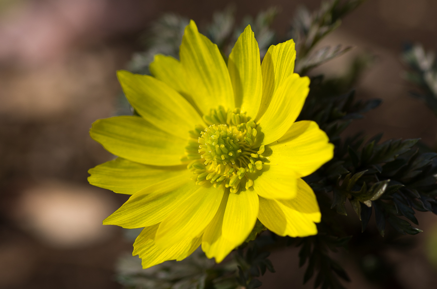 IMGP3280.jpg(330780 byte)