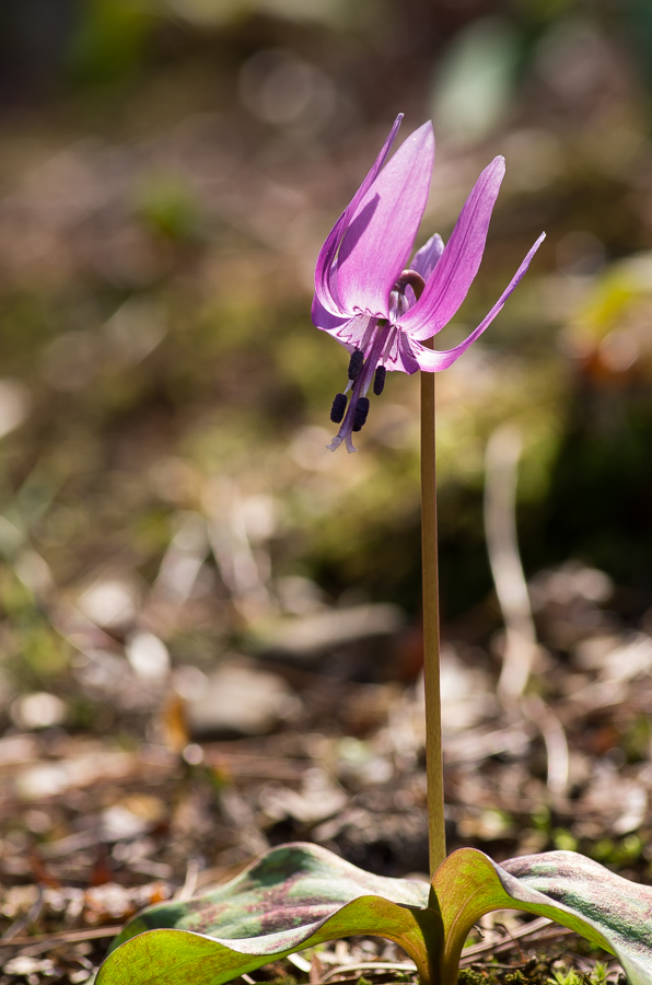 IMGP3292.jpg(383056 byte)