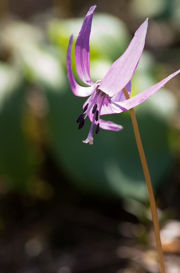 IMGP3299.jpg(281822 byte)