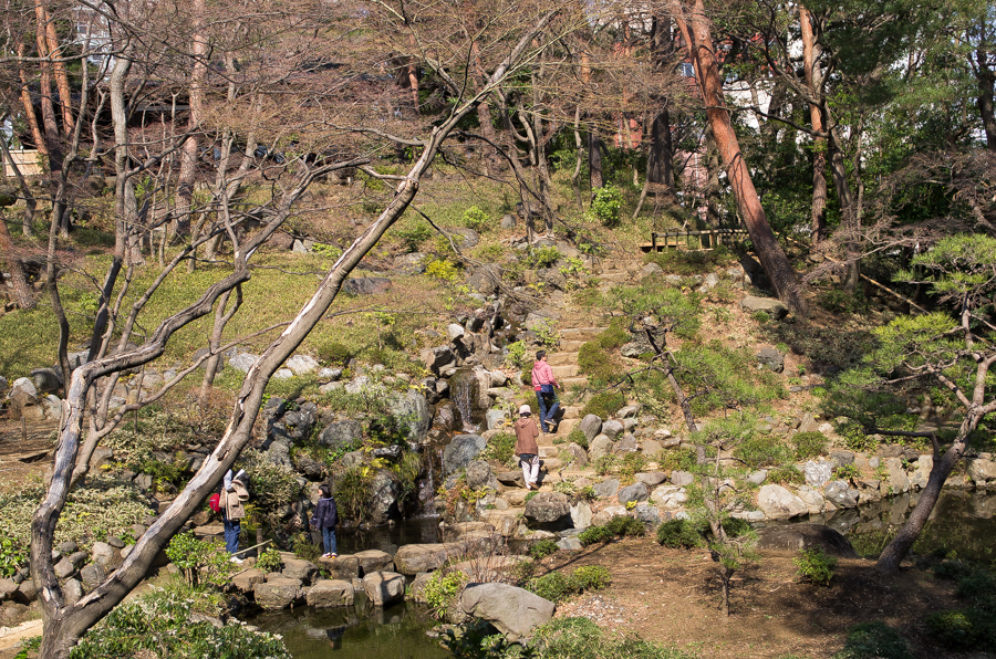 IMGP3376.jpg(965301 byte)