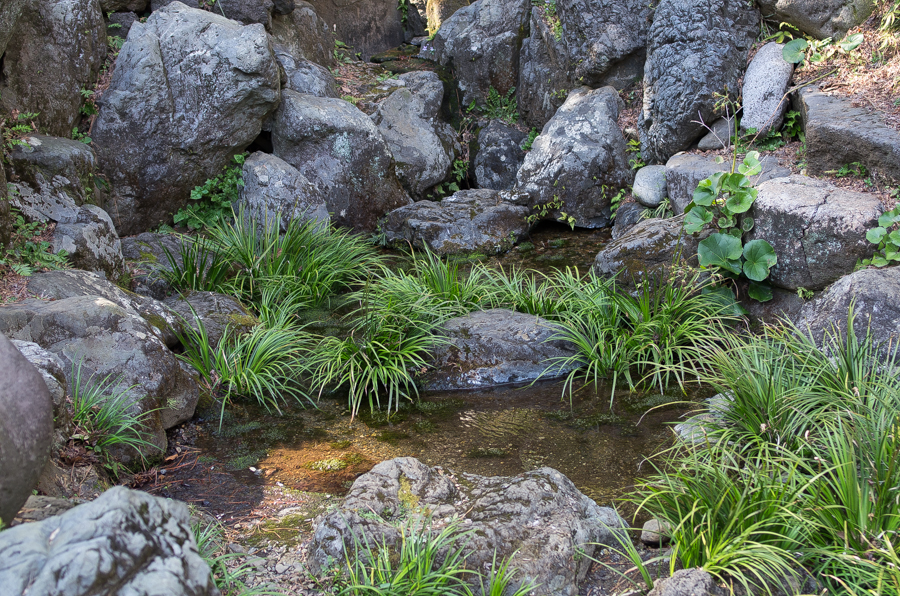 IMGP3404.jpg(865916 byte)