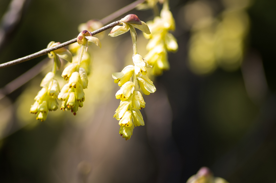 IMGP3422.jpg(285883 byte)