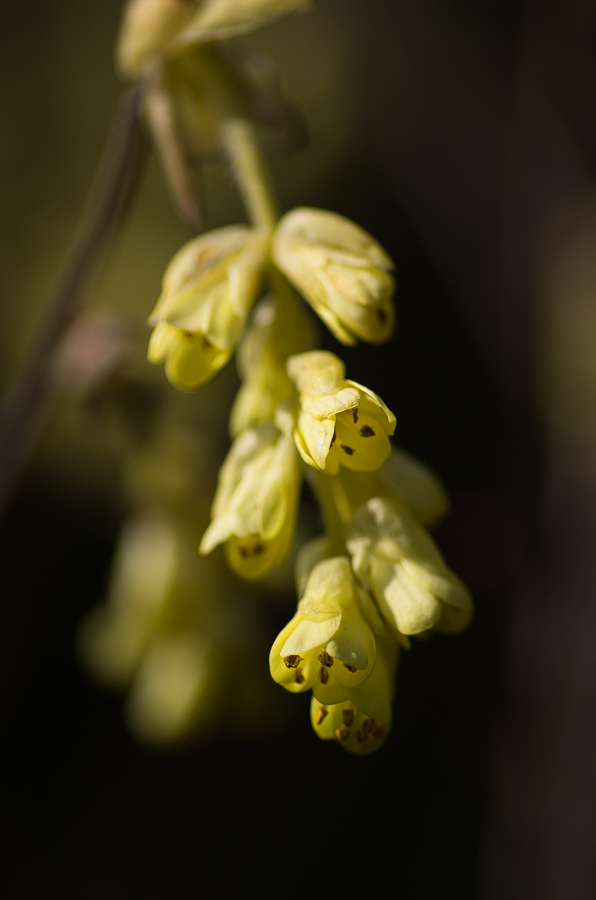 IMGP3439.jpg(237297 byte)