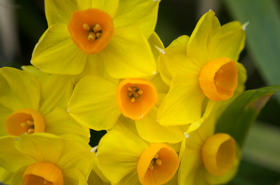 IMGP3445.jpg(379868 byte)