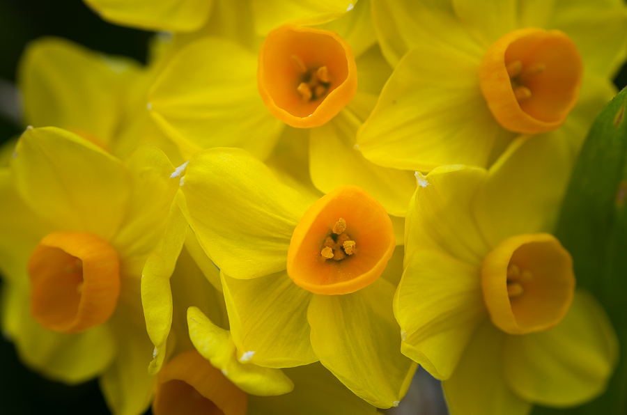 IMGP3448.jpg(336787 byte)