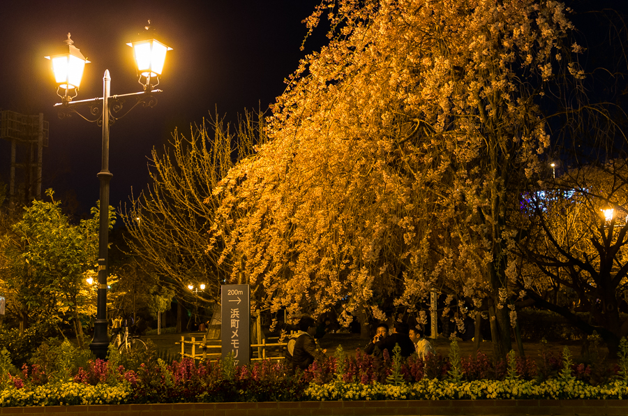 IMGP3918.jpg(918282 byte)