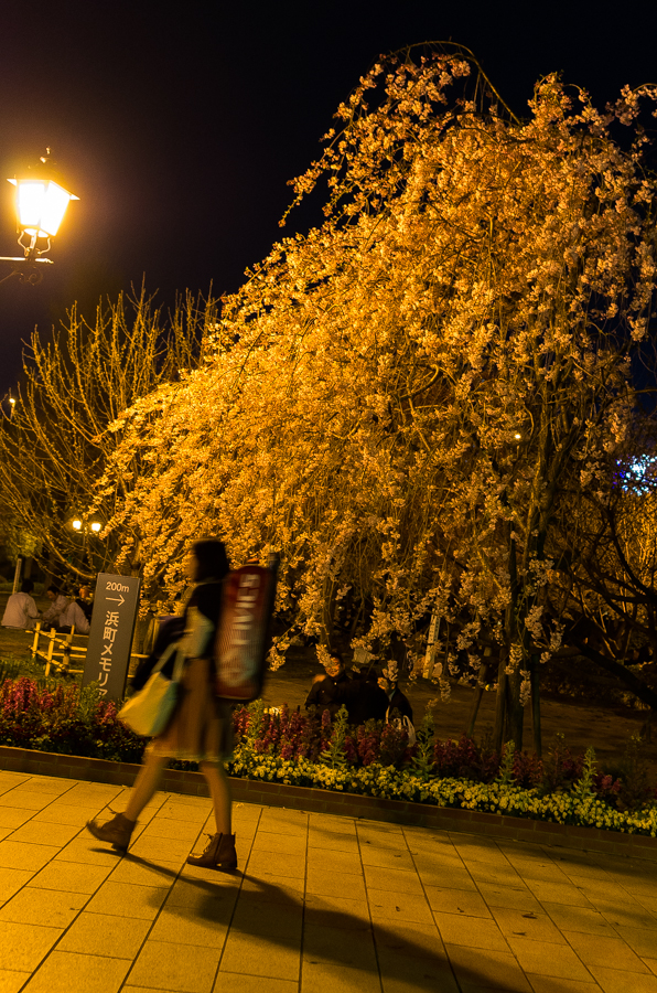 IMGP3930.jpg(864200 byte)