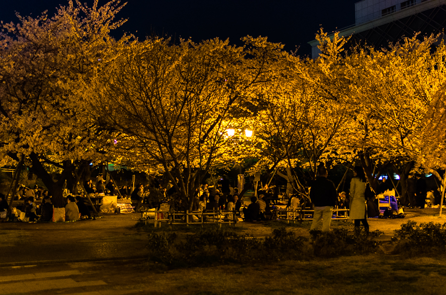 IMGP3943.jpg(924054 byte)