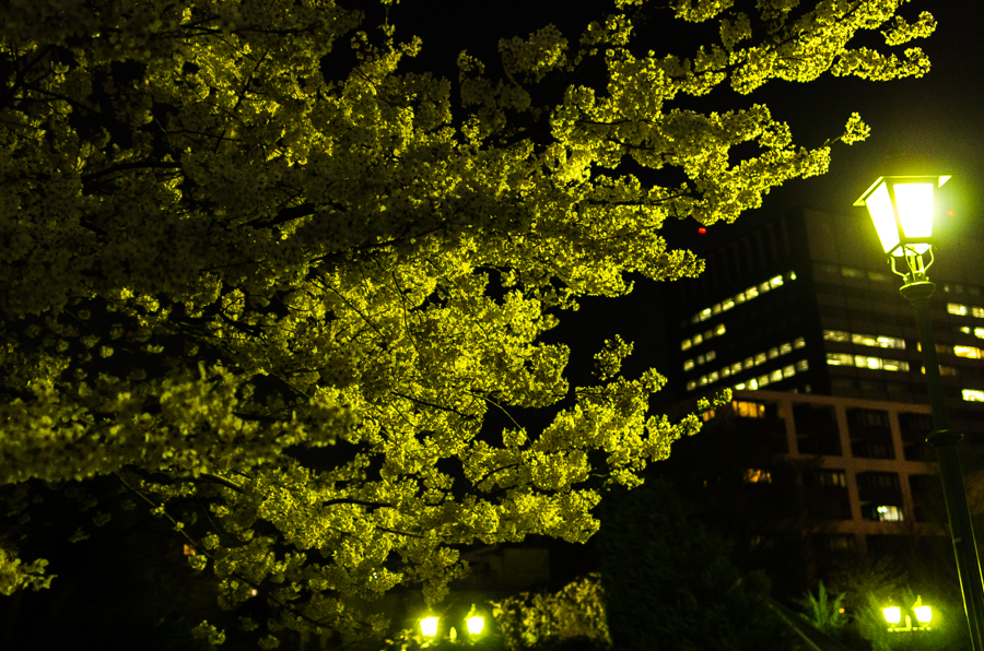 IMGP3956.jpg(747760 byte)