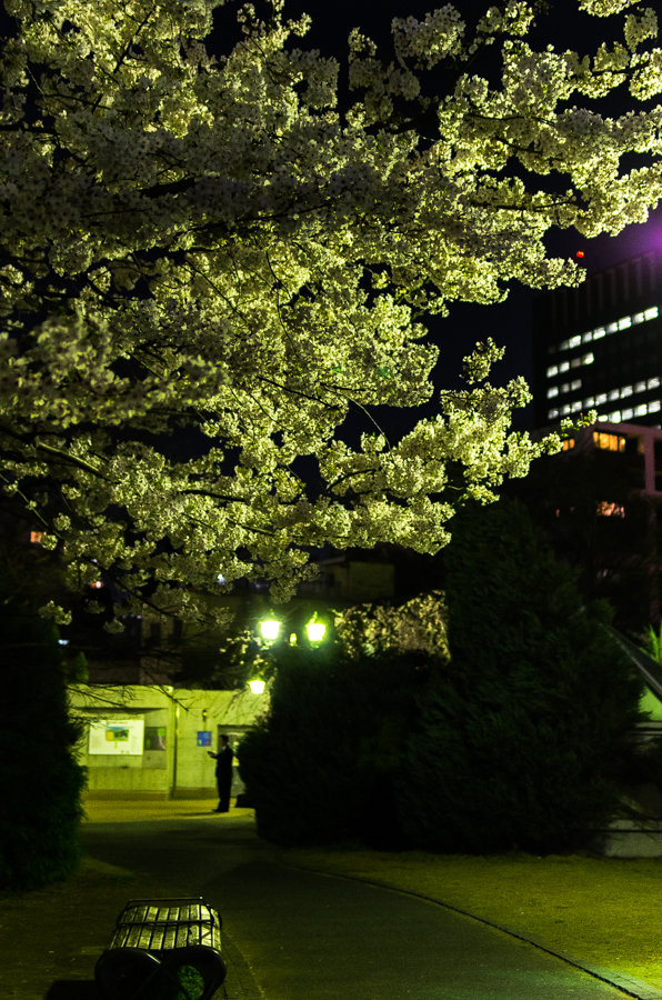 IMGP3959.jpg(673986 byte)