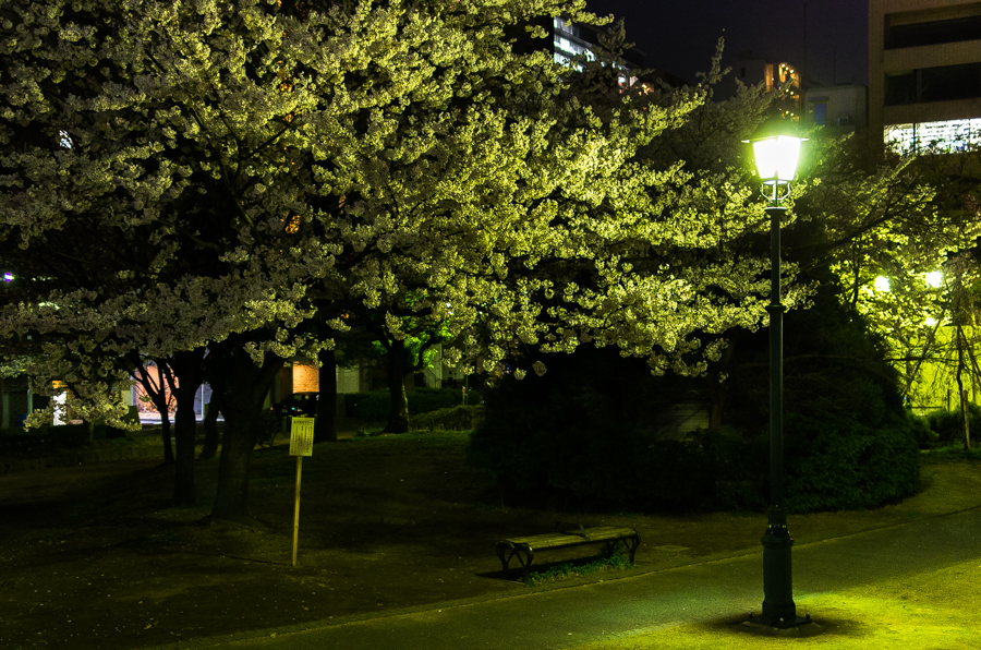 IMGP3963.jpg(698706 byte)