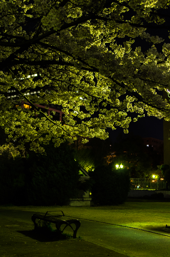 IMGP4000.jpg(691890 byte)