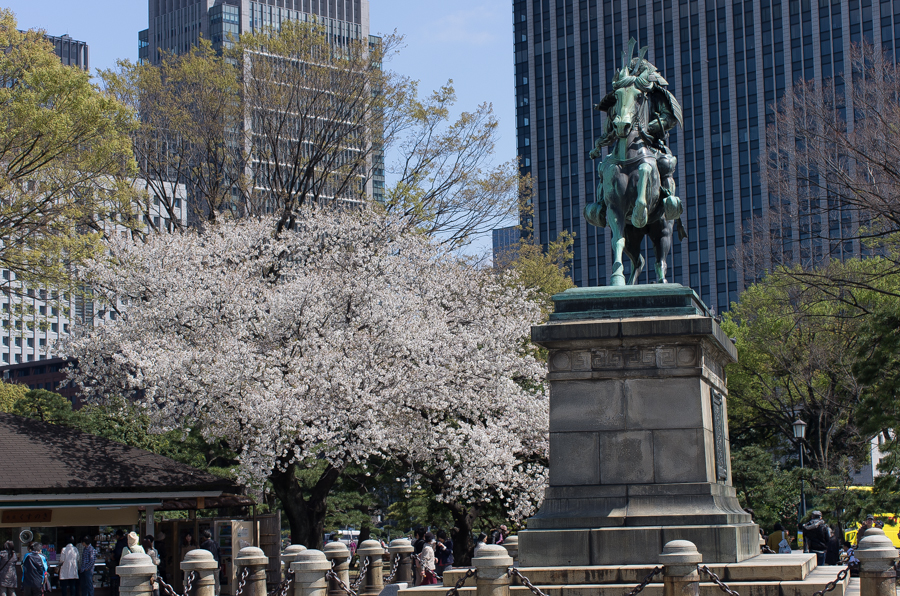 IMGP4032.jpg(796870 byte)