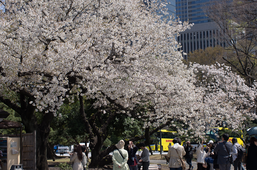 IMGP4035.jpg(894117 byte)