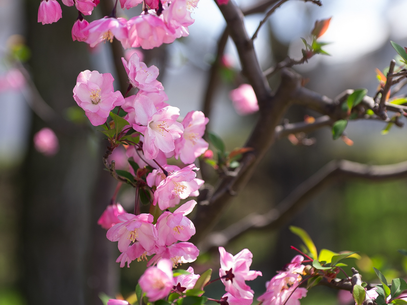 IMGP4042.jpg(354452 byte)