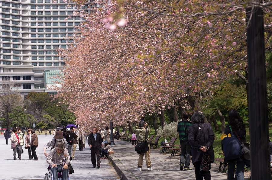 IMGP4067.jpg(773947 byte)