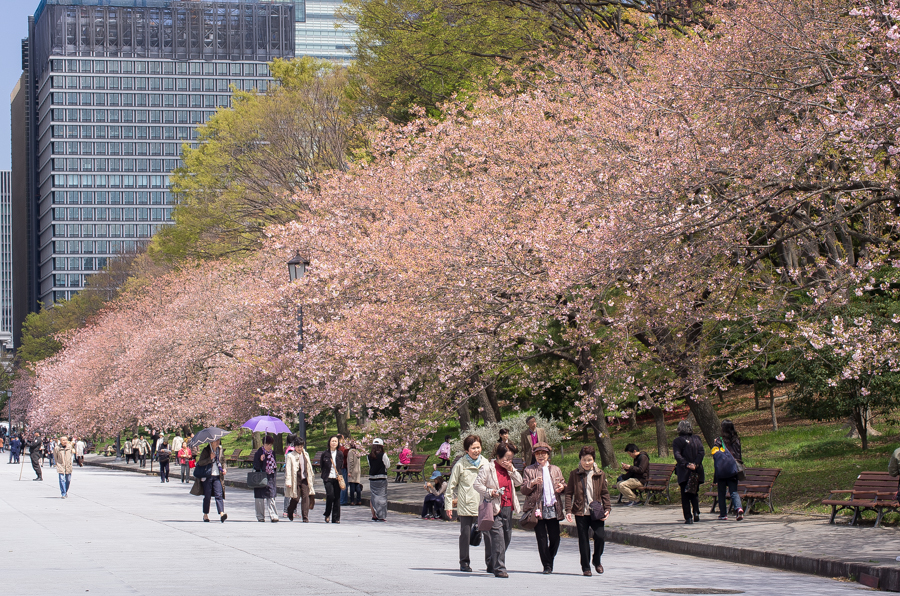 IMGP4069.jpg(881290 byte)