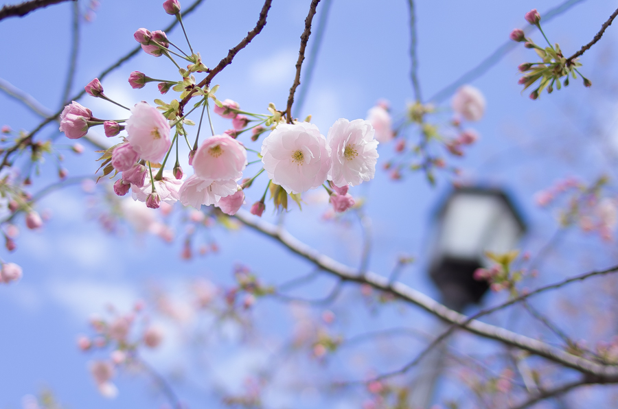 IMGP4091.jpg(356449 byte)