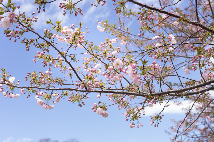 IMGP4093.jpg(692010 byte)