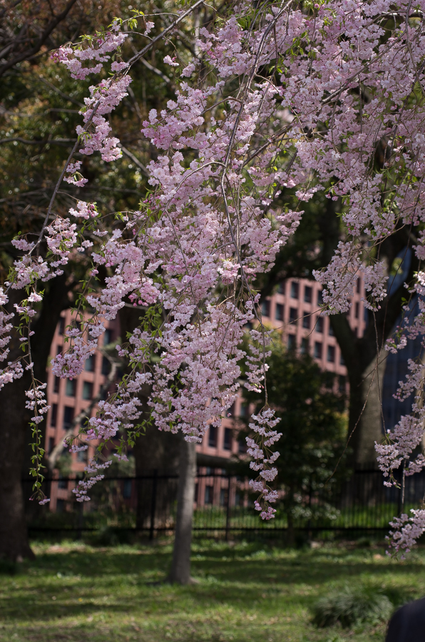 IMGP4117.jpg(660713 byte)