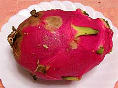 �h���S���t���[�c