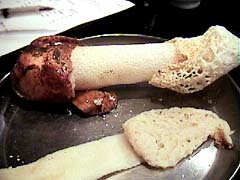 �����ʂ����|