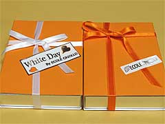 �G�R�[���E�N���I��