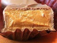 �v�����l�E�m���[�b�g