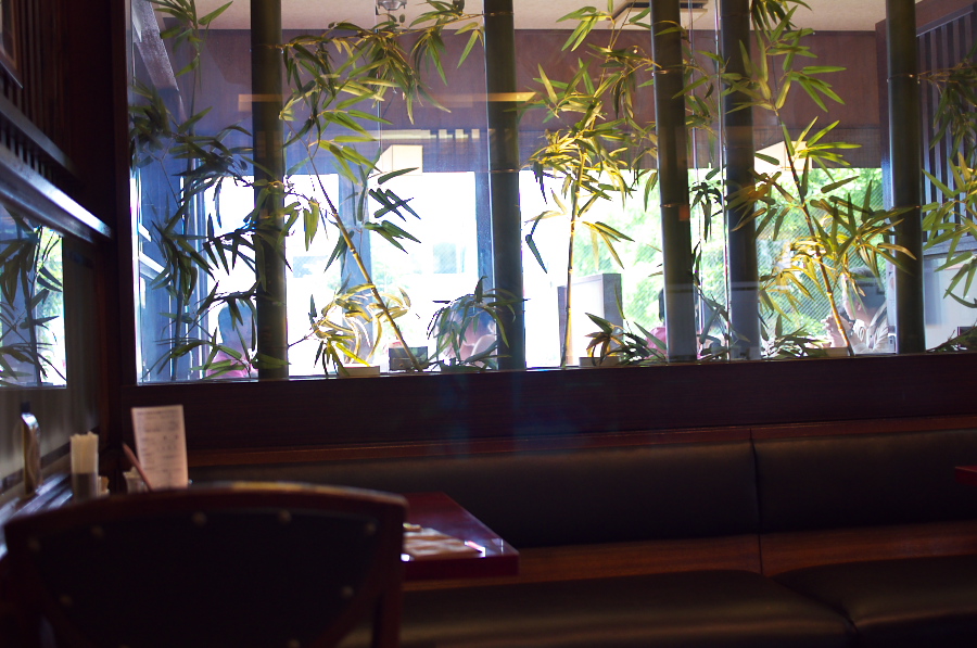 IMGP4564.jpg(333133 byte)