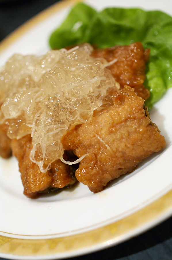 IMGP0007.jpg(287059 byte)