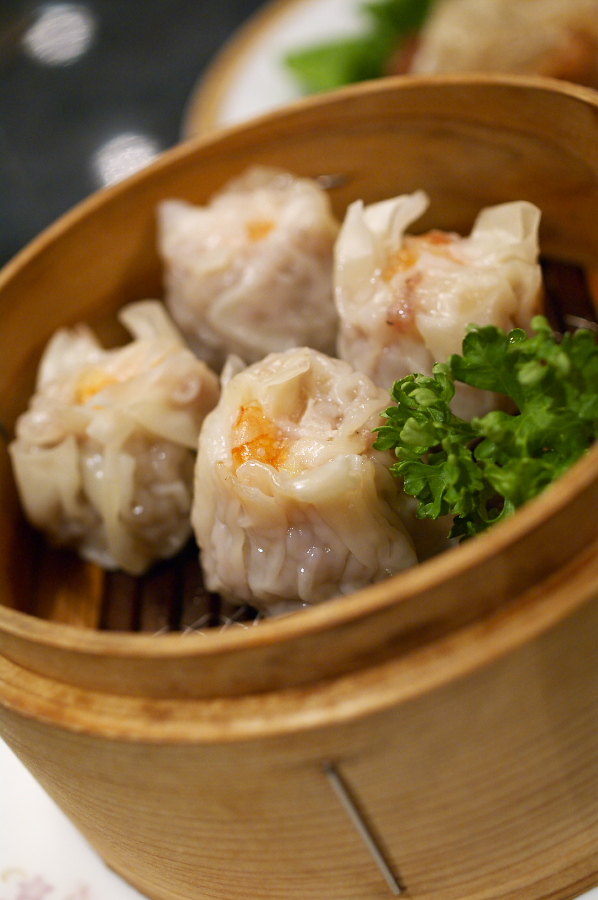 IMGP0009.jpg(256305 byte)